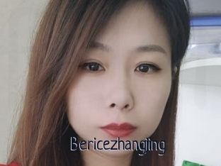 Bericezhangjing
