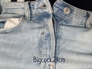 Bigcock24cm