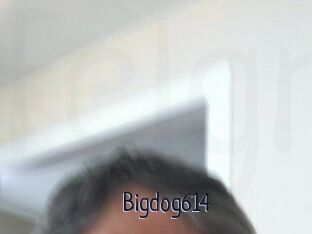 Bigdog614