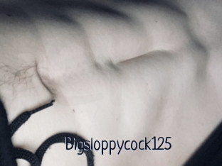 Bigsloppycock125