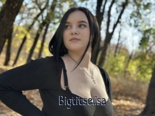 Bigtitselisa
