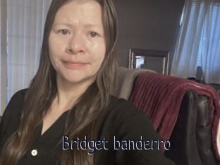 Bridget_banderro