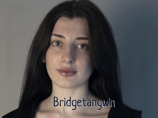 Bridgetangwin