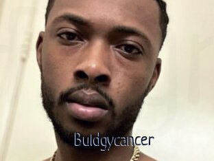 Buldgycancer