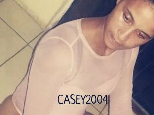 CASEY2004