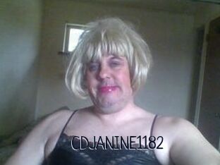 CDJANINE1182