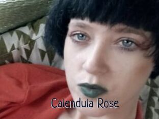 Calendula_Rose