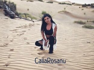 CallaRosanu