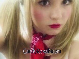 CandyRoseBloom