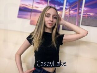 CaseyLake