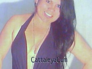CattaleyaCum