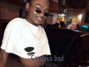 Cattleya_bad