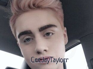 CeeJayTaylorr