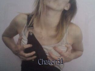 Chaton31