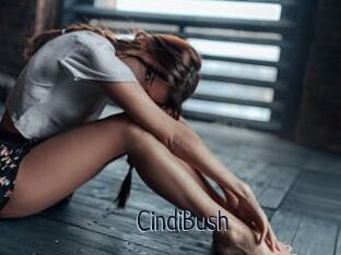 CindiBush