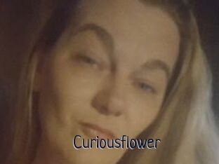 Curiousflower