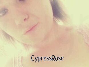 Cypress_Rose