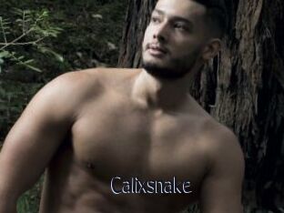 Calixsnake