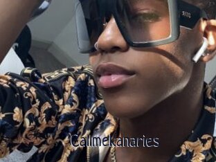 Callmekanaries