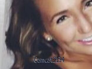 Camcat2134