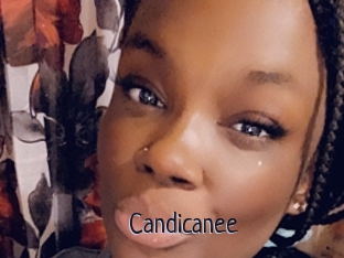 Candicanee