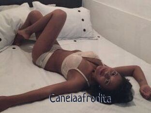 Canelaafrodita