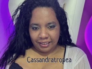 Cassandratropea