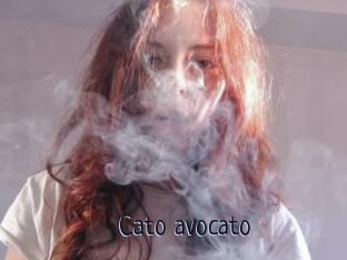 Cato_avocato