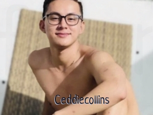 Ceddiecollins