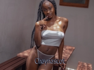 Chaynascot