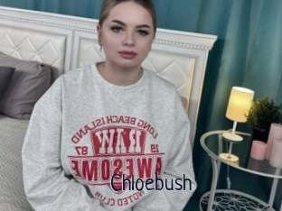Chloebush
