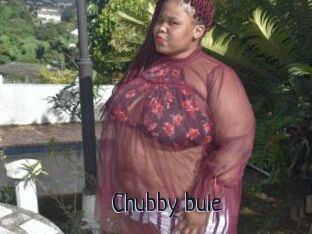 Chubby_bule