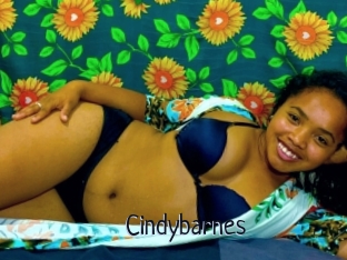 Cindybarnes