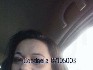 Coccinella-07105003