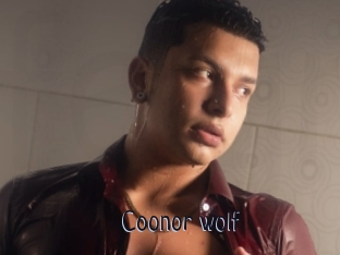 Coonor_wolf