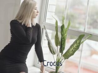 Crocus