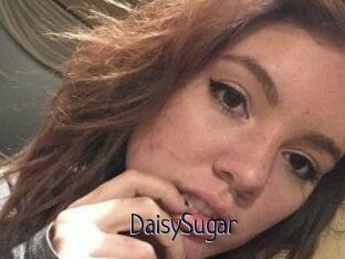 Daisy_Sugar