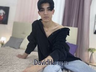 DavidHarmyn