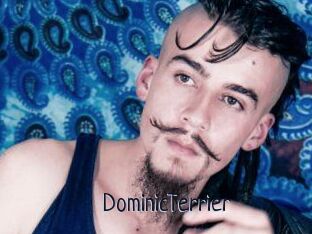 DominicTerrier