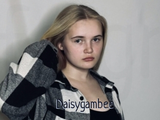Daisygambee