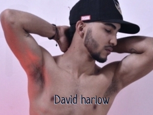 David_harlow