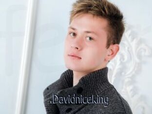Davidniceking