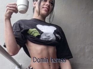 Domin_hamss