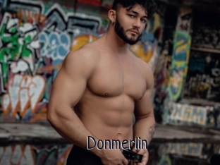 Donmerlin