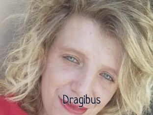 Dragibus