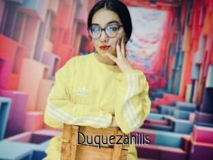 Duquezahills