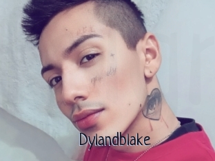Dylandblake