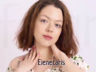 Elenecaris