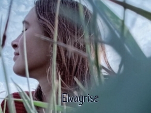Elvagrise