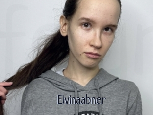 Elvinaabner